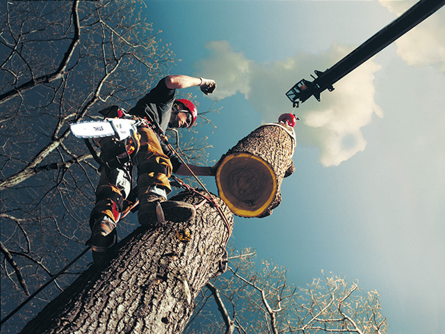 Mark Chisholm is a third-generation arborist. Patience and proper equipment are key to safely cutting down a tree. The worst decision? Using a ladder to cut down any tree, he says. (Progressive Farmer photo supplied by STIHL)